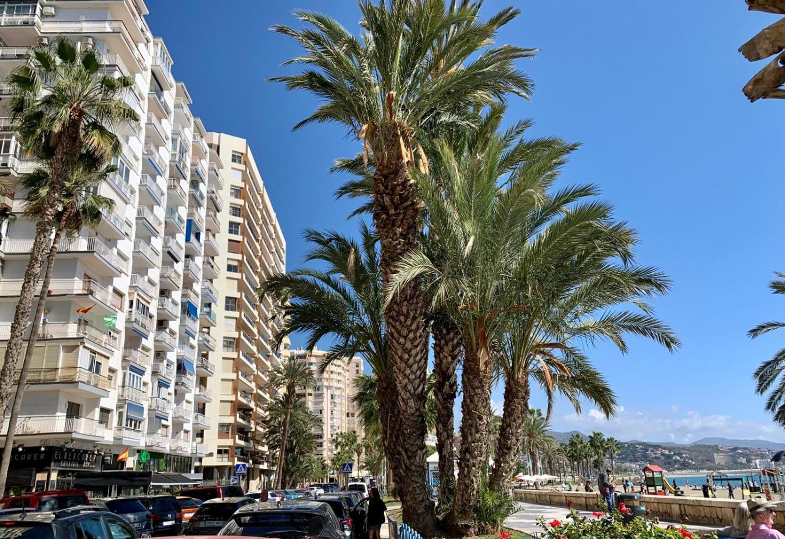 Estudio En Playa La Malagueta مالقة المظهر الخارجي الصورة